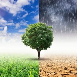 Mother Earth’s Messages, Future Vision and Angelic Teachings